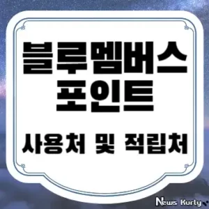 블루멤버스 포인트 사용처 및 적립처