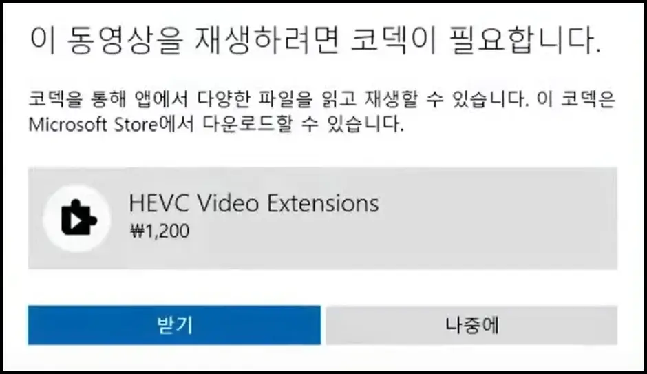 HEVC Video Extensions 코덱 1