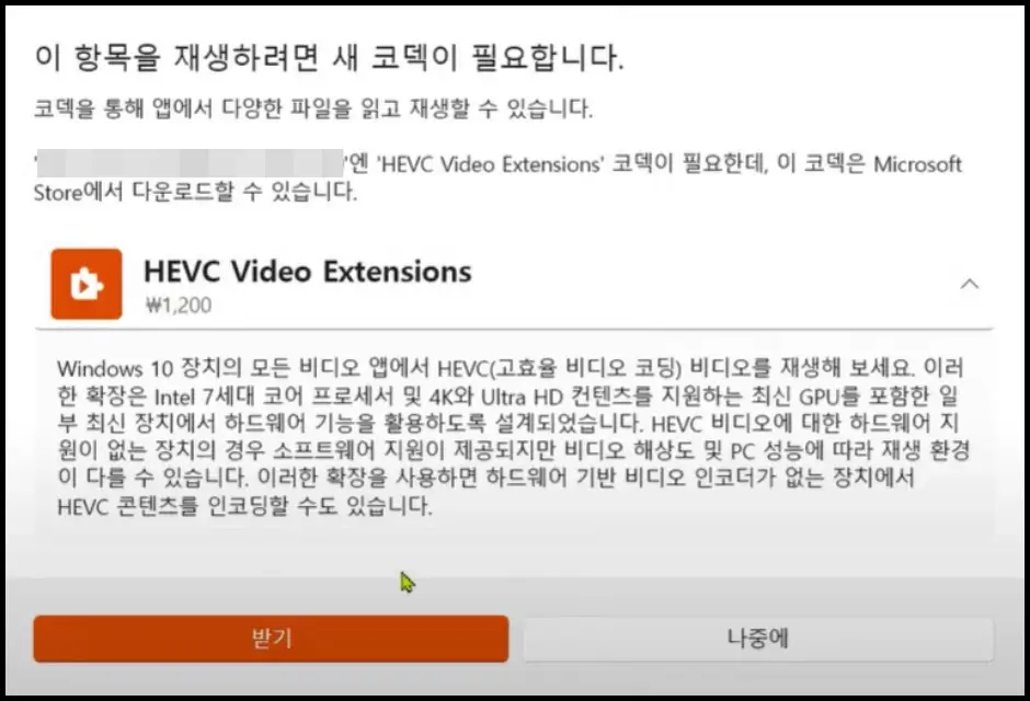 HEVC Video Extenstions 코덱 2