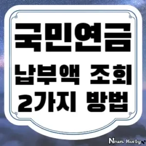 국민연금 납부액 조회 2가지 방법