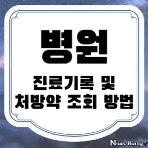 병원 진료기록 및 처방약 조회 방법