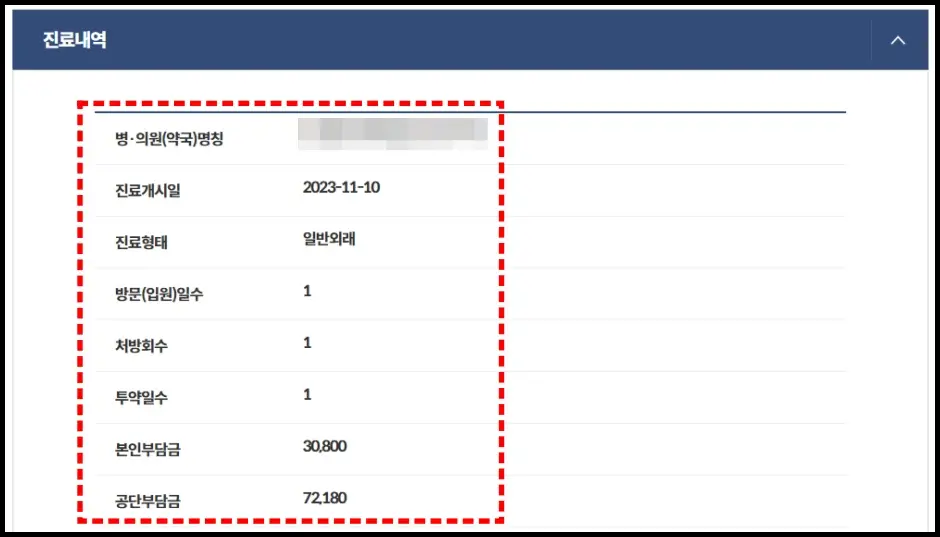 정부 24 진료비 세부내역서 발급 신청 방법 4