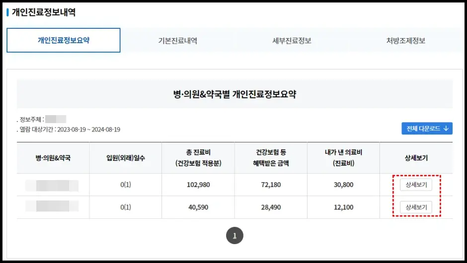 건강보험심사평가원 진료비 세부내역서 발급 신청 방법 3