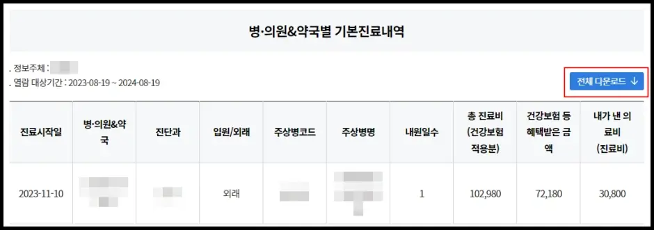 건강보험심사평가원 진료비 세부내역서 발급 신청 방법 4