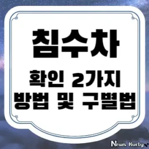 침수차 확인 2가지 방법 및 구별법