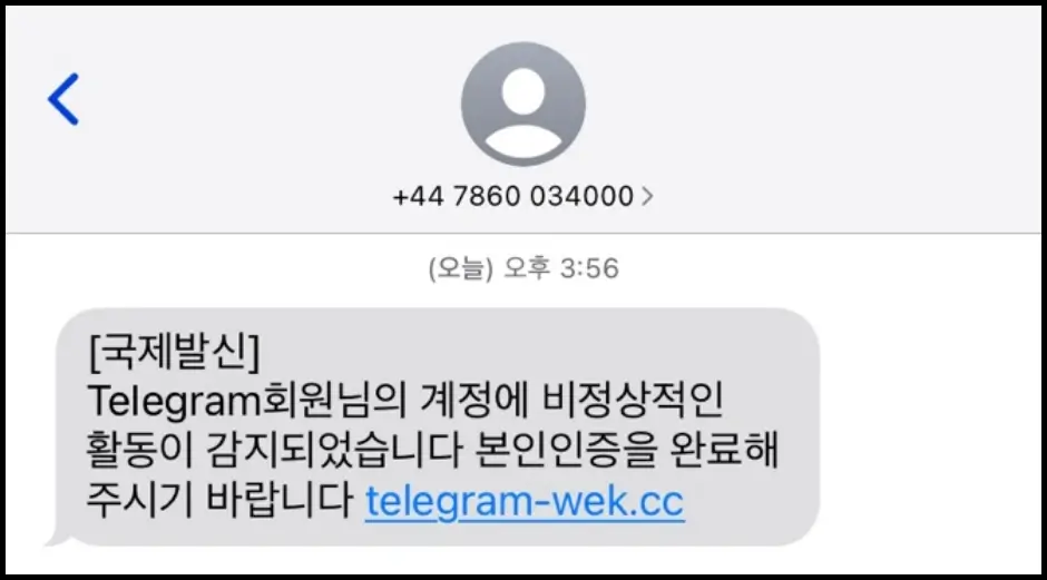 텔레그램 계정 비정상적인 활동 감지 문자 메시지 내용