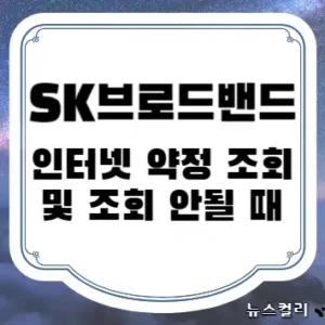 SK브로드밴드 인터넷 약정 조회 및 조회 안될 때