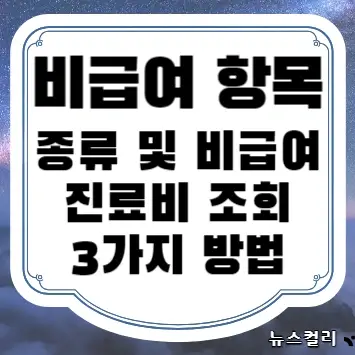 비급여 항목 종류 및 비급여 진료비 조회 3가지 방법