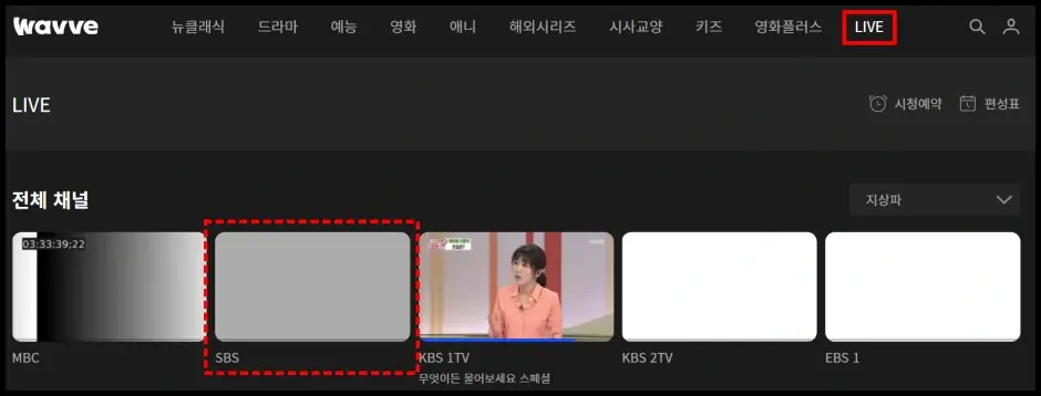 Wavve SBS 채널 실시간 TV 보기