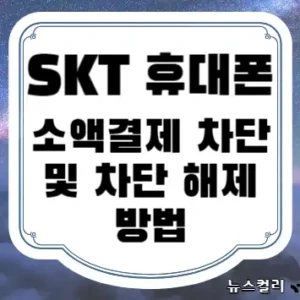 SKT 휴대폰 소액결제 차단 및 차단 해제 방법