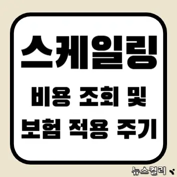 스케일링 비용 조회 및 보험 적용 주기