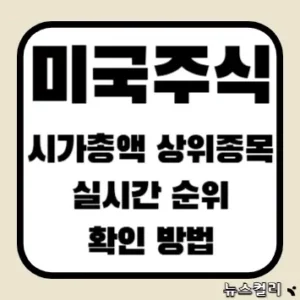 미국주식 시가총액 상위종목 실시간 순위 확인 방법