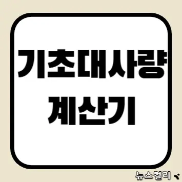 기초대사량 계산기