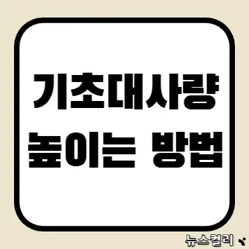 기초대사량 높이는 방법