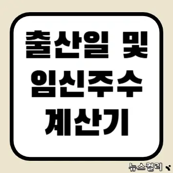 출산일 및 임신주수 계산기