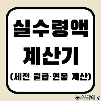 실수령액 계산기