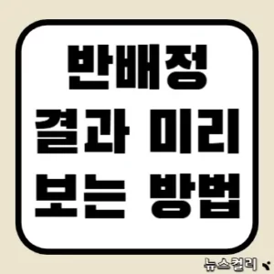 반배정 결과 미리 보는 방법