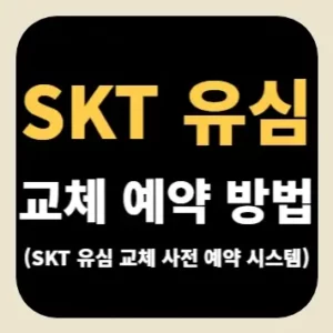 SKT 유심 교체 예약 방법(SKT 유심 교체 사전 예약 시스템)