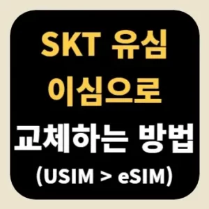 SKT 유심 이심으로 교체하는 방법(USIM > eSIM)