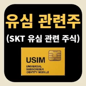 유심 관련주(SKT 유심 관련 주식)