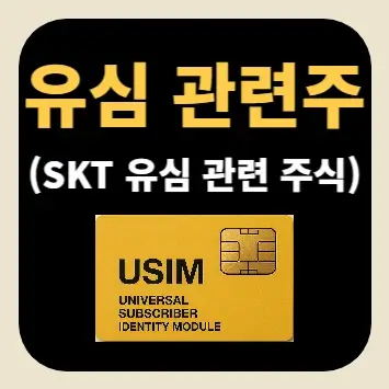 유심 관련주(SKT 유심 관련 주식)