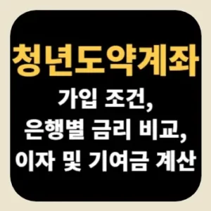 청년도약계좌 가입 조건, 은행별 금리 비교, 이자 및 기여금 계산