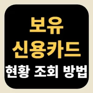 보유 신용카드 현황 조회 방법