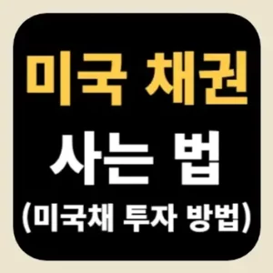 미국 채권 사는 법(미국채 투자 방법)