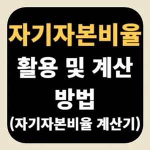 자기자본비율 활용 및 계산 방법(자기자본비율 계산기)
