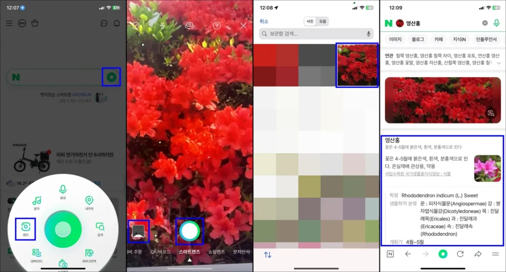 네이버 스마트렌즈 사진으로 꽃과 식물 이름 찾기