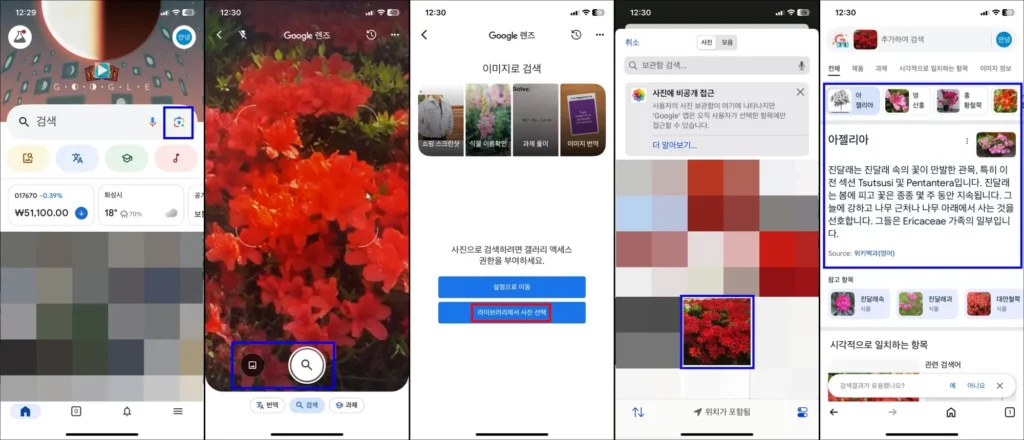 구글 렌즈 사진으로 꽃과 식물 이름 찾기