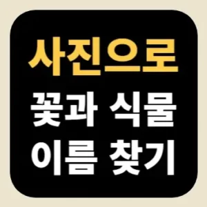 사진으로 꽃과 식물 이름 찾기
