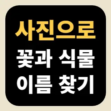 사진으로 꽃과 식물 이름 찾기