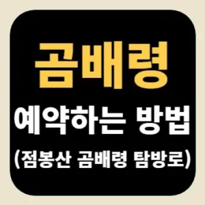 곰배령 예약하는 방법(점봉산 곰배령 탐방로)