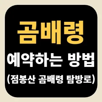 곰배령 예약하는 방법(점봉산 곰배령 탐방로)