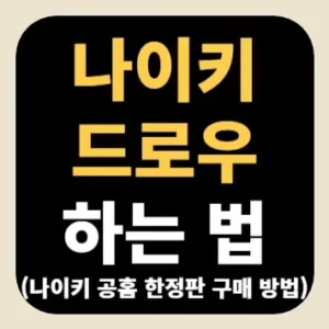 나이키드로우 하는 법(나이키 공홈 한정판 구매 방법)