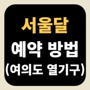 서울달 예약 방법(여의도 열기구)