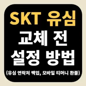 SKT 유심 교체 전 설정 방법(유심 연락처 백업, 모바일 티머니 환불)