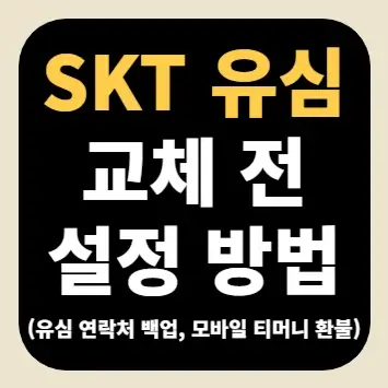 SKT 유심 교체 전 설정 방법(유심 연락처 백업, 모바일 티머니 환불)
