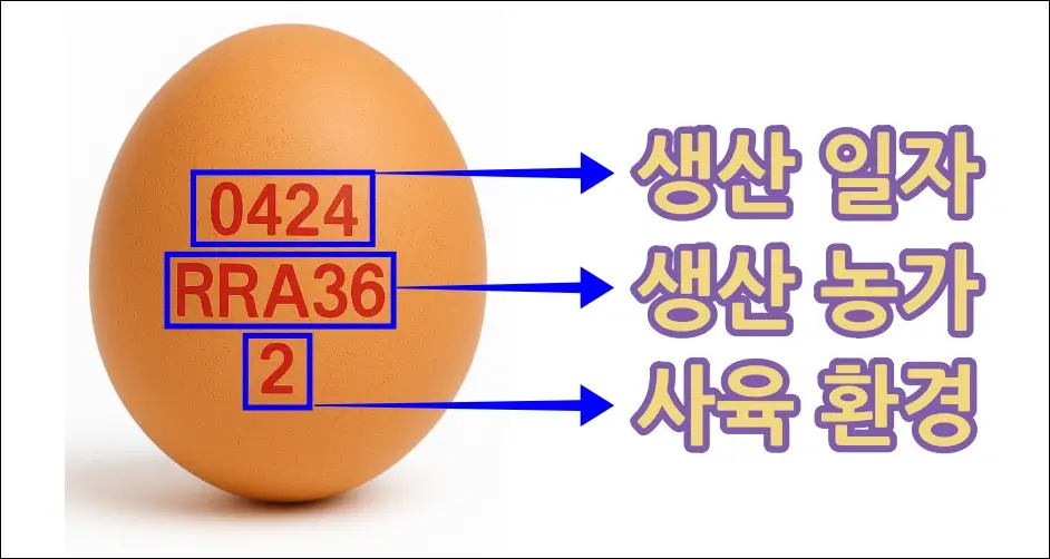 난각번호 구별법