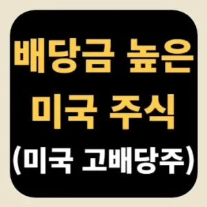 배당금 높은 미국 주식(미국 고배당주)