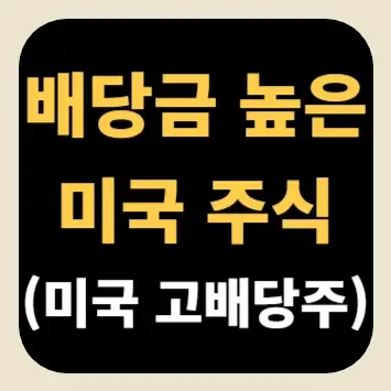 배당금 높은 미국 주식(미국 고배당주)