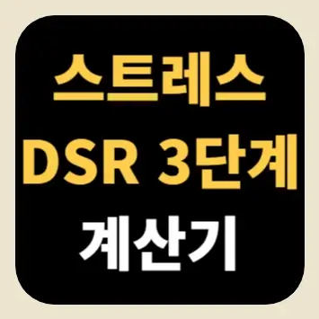 스트레스 DSR 3단계 계산기