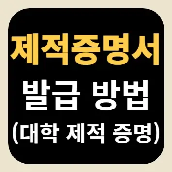 제적증명서 발급 방법(대학 제적 증명)