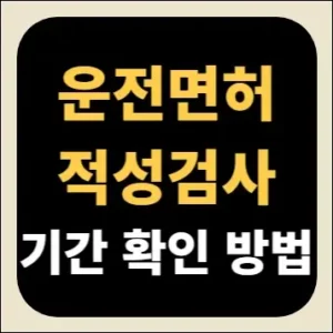 운전면허 적성검사 기간 확인 방법