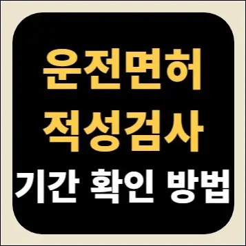 운전면허 적성검사 기간 확인 방법