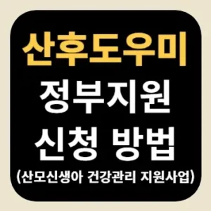 산후도우미 정부지원 신청 방법(산모신생아 건강관리 지원사업)