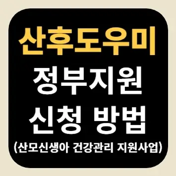 산후도우미 정부지원 신청 방법(산모신생아 건강관리 지원사업)