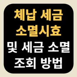 체납 세금 소멸시효 및 세금 소멸 조회 방법