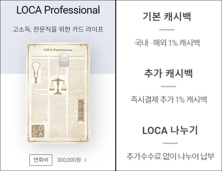 롯데 로카 프로페셔널 카드